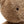 Laden Sie das Bild in den Galerie-Viewer, Kuscheltier - Jollies - Bear Brave
