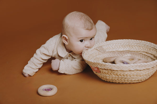 PETIT BOUM SENSORY DONUT GRAPES