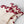 Laden Sie das Bild in den Galerie-Viewer, NBFROSITA SOCKEN 2er Set Baby
