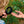 Laden Sie das Bild in den Galerie-Viewer, Mini Insekten Figuren
