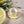 Laden Sie das Bild in den Galerie-Viewer, Espresso  Stripes - spiaggia yellow (2er Set - 4 Teile)
