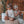 Laden Sie das Bild in den Galerie-Viewer, pieksmichnicht -  COOL KIDS CLUB Edition
