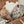 Laden Sie das Bild in den Galerie-Viewer, Spucktuch Hydrophil | 70x70cm | Retro Flowers | 3 Stück
