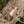 Laden Sie das Bild in den Galerie-Viewer, NBFNALU LS WO/MO SLIM BODY
