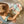 Laden Sie das Bild in den Galerie-Viewer, Magisches Badebuch | Kangaroots
