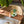 Laden Sie das Bild in den Galerie-Viewer, Foam Bade Spielset - Kangaroots
