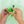 Laden Sie das Bild in den Galerie-Viewer, GLO PALS Pippa Character Green
