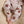 Laden Sie das Bild in den Galerie-Viewer, NBFLULIO KNIT PANT LIL
