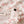 Laden Sie das Bild in den Galerie-Viewer, NBFGAGO KIS LS SLIM BODY LIL
