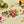 Laden Sie das Bild in den Galerie-Viewer, Plus Plus | 240 Kreativ Bausteine | Botanica
