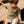 Laden Sie das Bild in den Galerie-Viewer, Brammie Shirt | Jade Green
