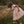 Laden Sie das Bild in den Galerie-Viewer, NMFFANELLA SS TULLE DRESS LIL
