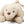 Laden Sie das Bild in den Galerie-Viewer, Raffles Bear Shoulder Bag | 18cm
