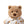 Laden Sie das Bild in den Galerie-Viewer, Good Dream Raffles Bear | 25 cm
