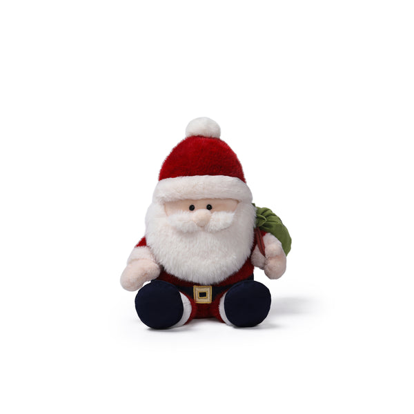 Delivery Santa | 25 cm