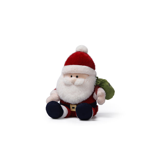 Delivery Santa | 25 cm
