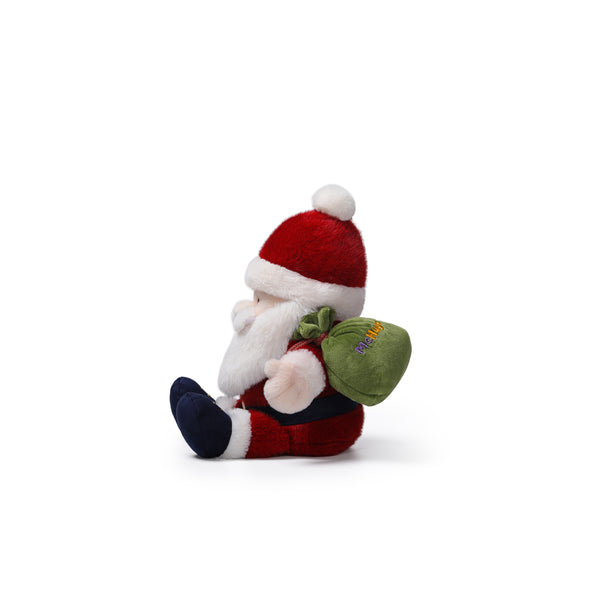 Delivery Santa | 25 cm
