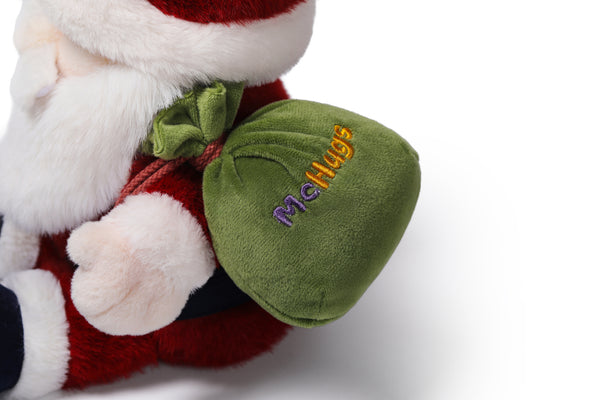 Delivery Santa | 25 cm