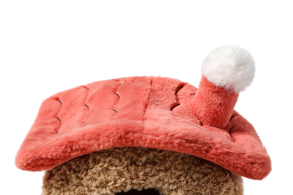 Relax Puppy mit Haus | 18 cm