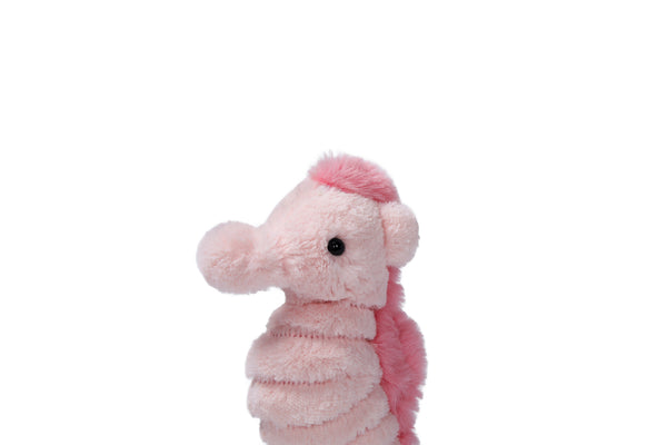 Coral Seahorse | 18cm