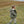 Laden Sie das Bild in den Galerie-Viewer, Alpi Winterjacke kalamata
