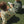 Laden Sie das Bild in den Galerie-Viewer, LOU SWEAT SHIRT OCS | cilantro
