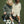 Laden Sie das Bild in den Galerie-Viewer, LOU SWEAT SHIRT OCS | cilantro
