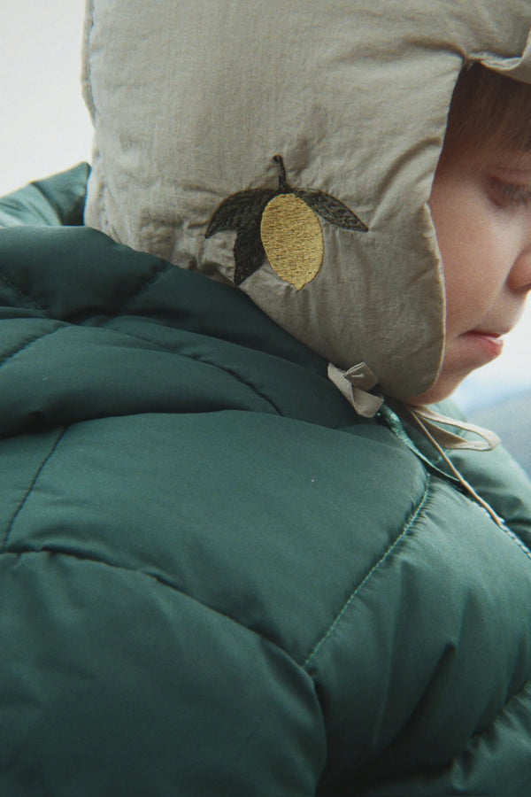 ALPI JACKET | Winterjacke | scarab