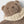 Laden Sie das Bild in den Galerie-Viewer, Sherpa Cuddle Cloth Bear
