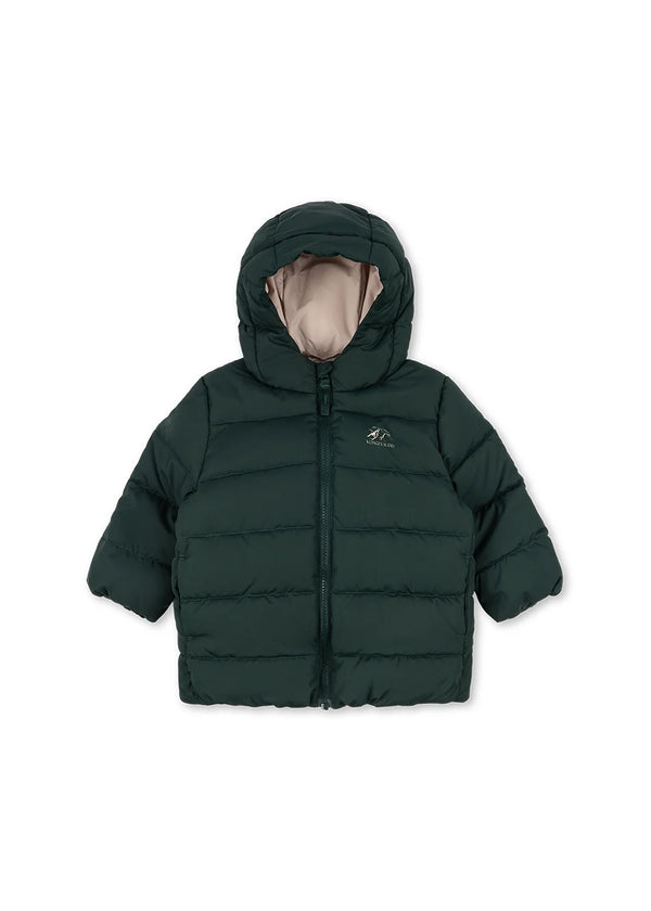 ALPI JACKET | Winterjacke | scarab