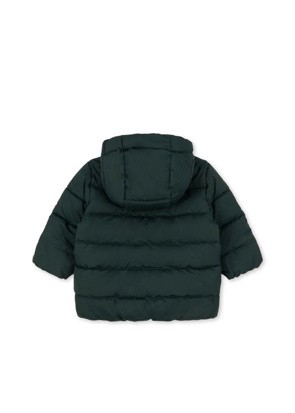 ALPI JACKET | Winterjacke | scarab