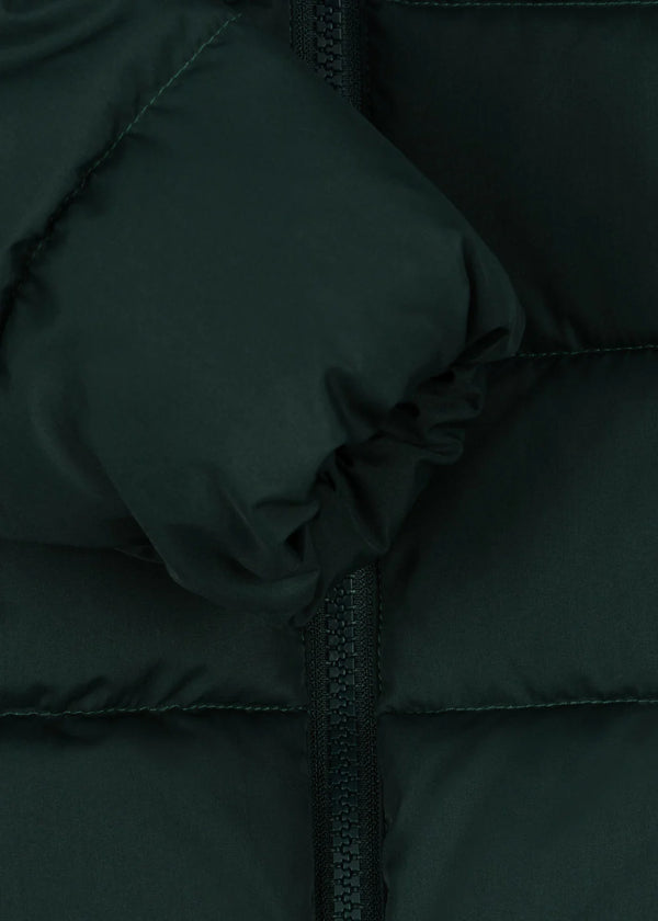 ALPI JACKET | Winterjacke | scarab