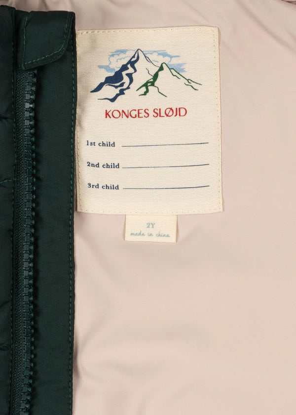 ALPI JACKET | Winterjacke | scarab