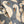 Laden Sie das Bild in den Galerie-Viewer, DOLL STROLLER | Puppenwagen | Swan
