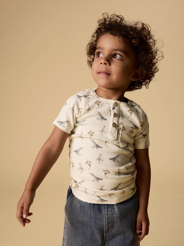 NMMLAVO ESI SS SLIM TOP LIL