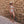 Laden Sie das Bild in den Galerie-Viewer, Mommy Lemons | Buckle Bikini Women | Shortbread
