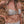 Laden Sie das Bild in den Galerie-Viewer, Mommy Lemons | Buckle Bikini Women | Shortbread
