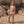 Laden Sie das Bild in den Galerie-Viewer, Pomme Flower | Bikini | White Swan
