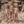 Laden Sie das Bild in den Galerie-Viewer, Pomme Flower | Bikini | White Swan
