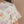 Laden Sie das Bild in den Galerie-Viewer, Shells | Set Shirt
