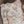Laden Sie das Bild in den Galerie-Viewer, Shells | Bodysuit
