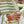 Laden Sie das Bild in den Galerie-Viewer, Stripe French Knit | Sweater Erwachsen | Tarragon
