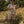 Laden Sie das Bild in den Galerie-Viewer, NMMFIBERT LOOSE SHORTS LIL
