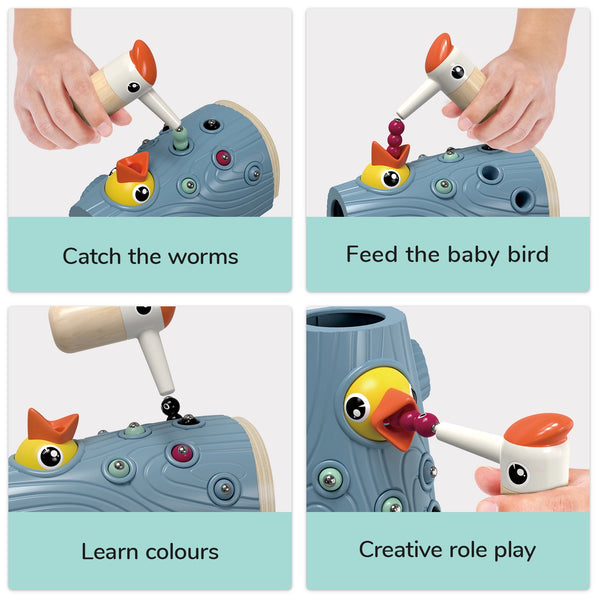 Füttere den Specht! - Montessori