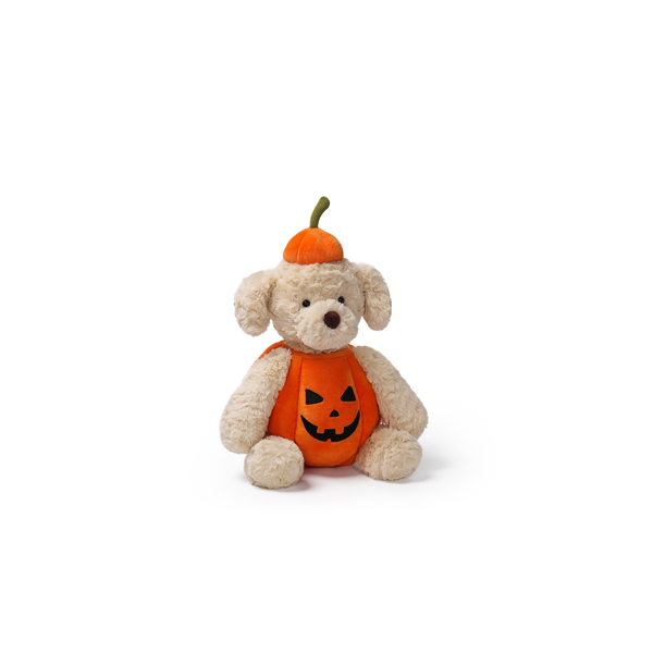 Pumpkin Puppy | 25 cm