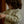 Laden Sie das Bild in den Galerie-Viewer, NMMJOBO AIN LS LOOSE SWEAT LIL
