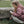 Laden Sie das Bild in den Galerie-Viewer, KIDYEXPLORE | Flexible Endoskopkamera
