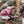 Laden Sie das Bild in den Galerie-Viewer, KIDYEXPLORE | Flexible Endoskopkamera
