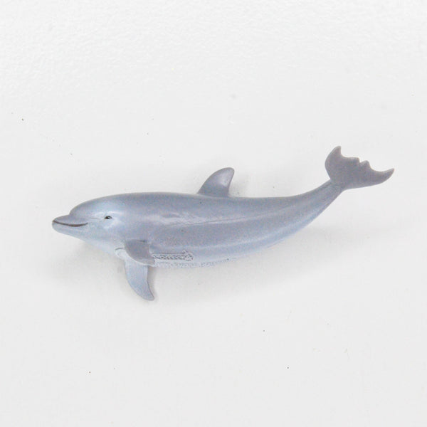 Charm Dolphin